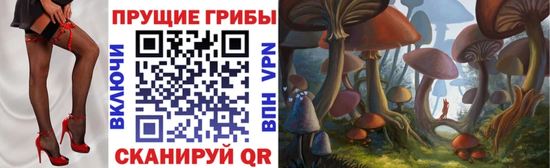 KRAKEN ссылки  Почеп  Галлюциногенные грибы мицелий 